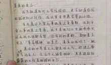老师谢谢你作文400字