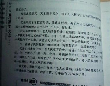美丽的时刻组成