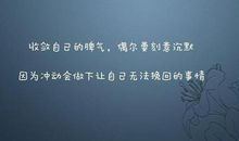 经典语录：沉默是藐视最完美的表达方式