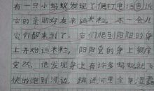 给点阳光我便灿烂作文