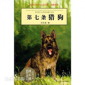 第七条猎犬阅读后的想法