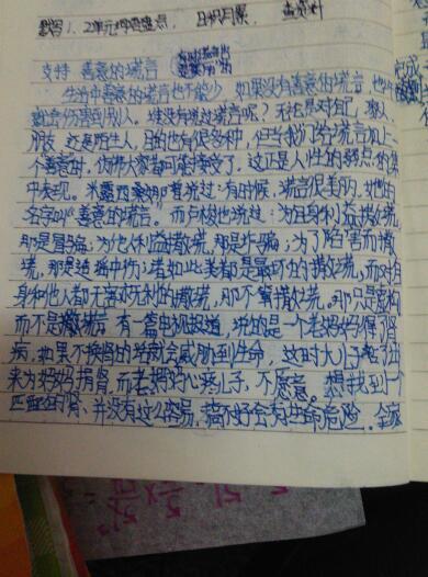 精彩的辩论组成