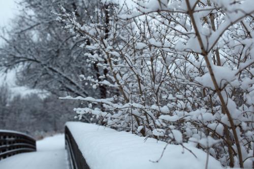 美丽的雪景构成400个单词