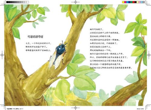 蝉的启蒙构图