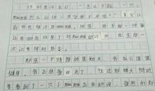 蜘蛛的启示作文