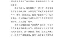 小草给我的启示作文