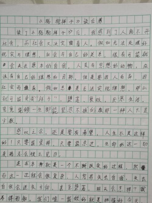 初中生500字