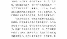 美丽的雪花作文