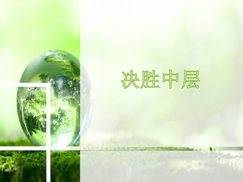 做最好的中层读后感