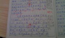 中秋之夜作文600字