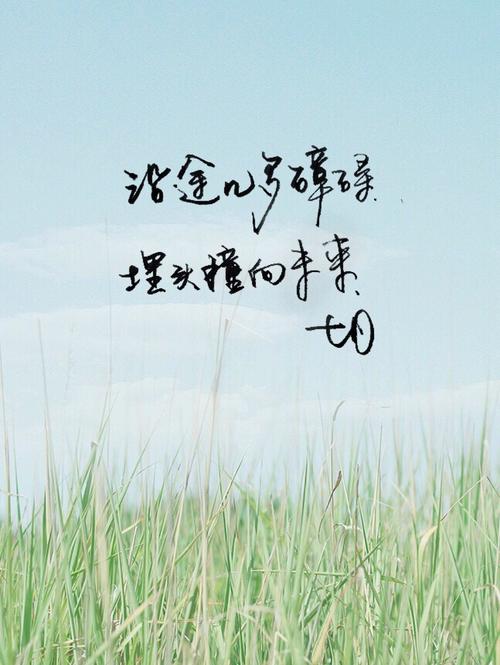 审美情调