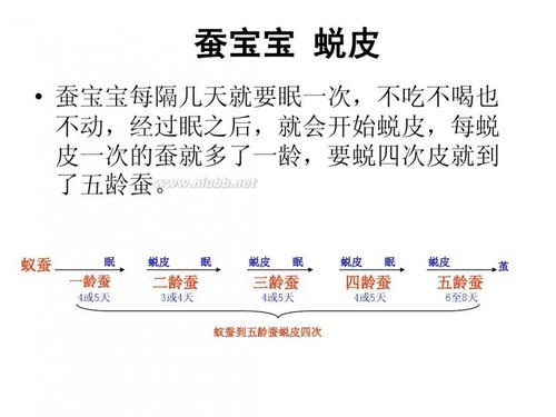 蚕的生活组成