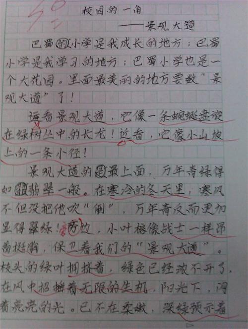 小学作文