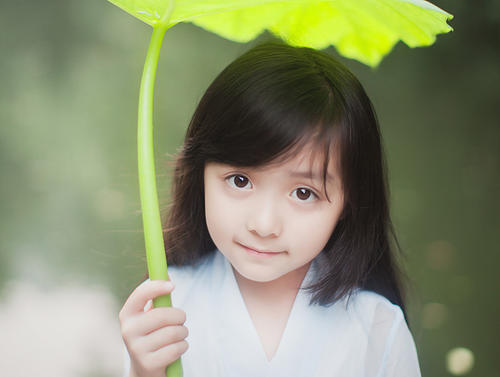 仙女的苹果