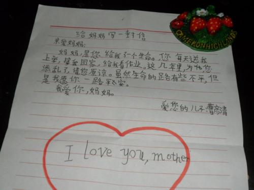母亲的作文