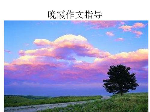 美丽的夕阳组成