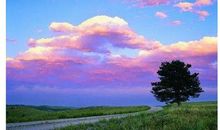 美丽的晚霞作文