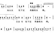 《谁能写出玫瑰的味道》读后感
