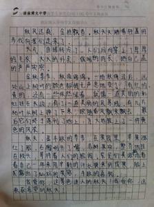 风景构图样本