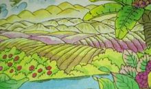 去打开大自然绿色的课本读后感