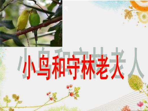 小鸟和老人在森林里