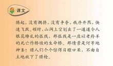 生命的壮歌读后感