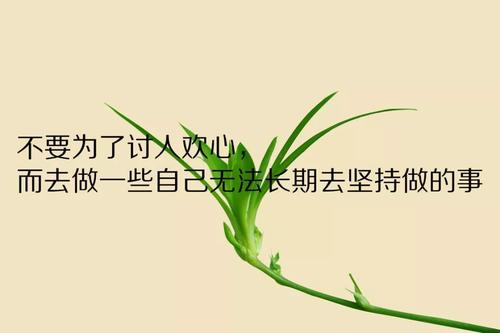 在逆境中成长的构图