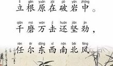 《女性的品格》读后感