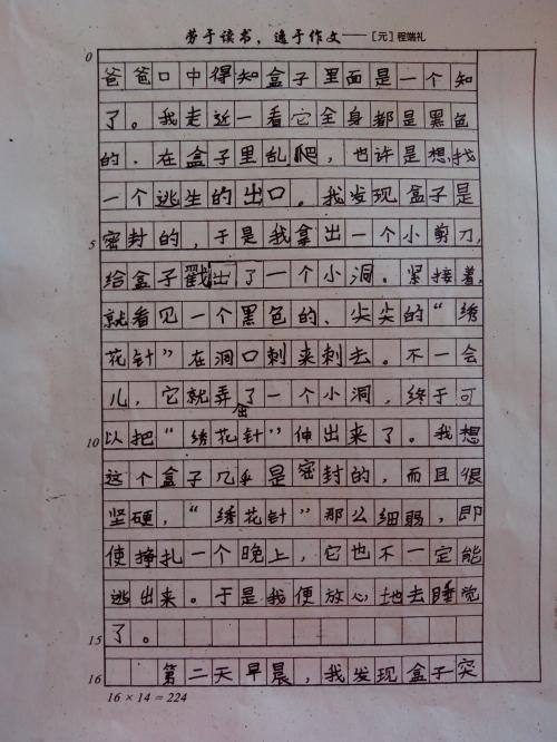 快乐初中生活组成