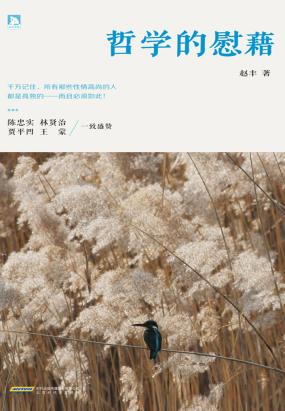 哲学的安慰