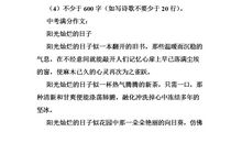 阳光灿烂的日子初中作文