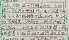 读后感150字