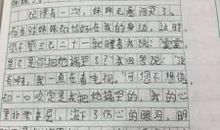 有关一件小事的作文