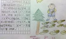 小学生法制征文