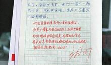 关于弟弟的作文