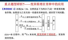 2014年高考满分作文安徽卷:缤纷色彩源自“特殊结构”