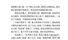 鸡毛信读后感作文