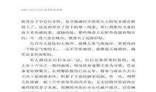 警犬拉拉读后感600字