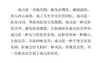 成功的喜悦作文400字