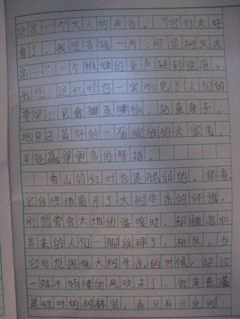 景观组成