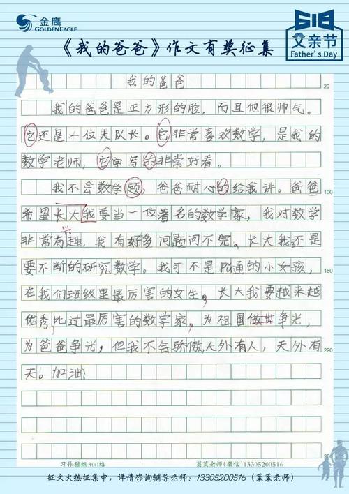 关于我父亲的作品