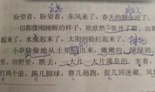 描写苹果的作文