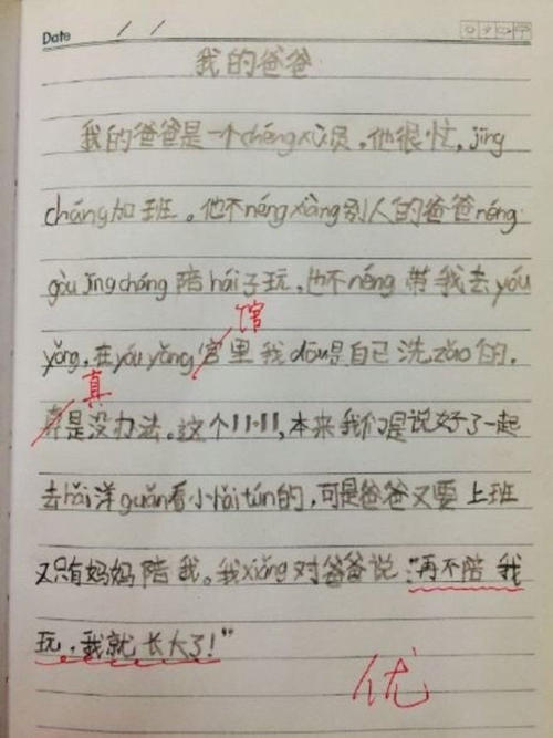 我爸爸的日记