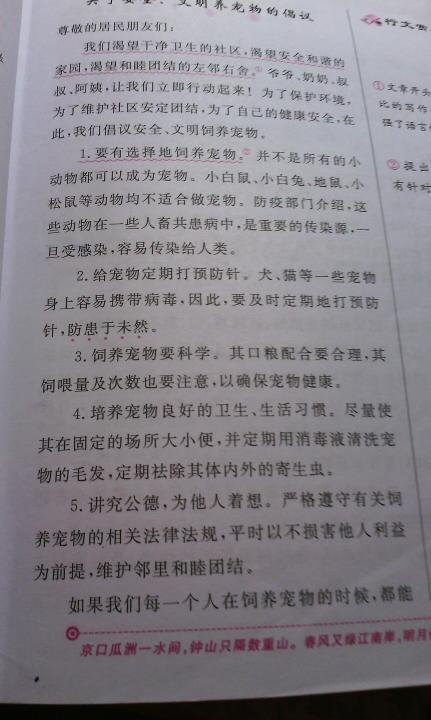 环境构成300字