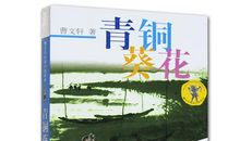 青铜葵花读后感200