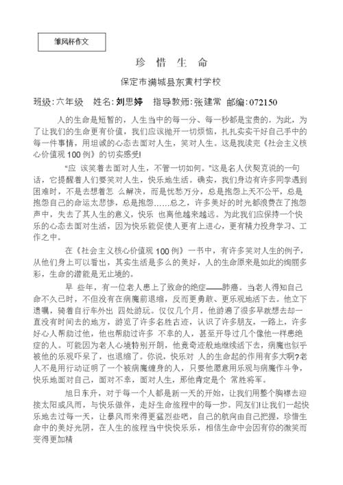 2014年高考满分作文安徽试卷：可能性不大