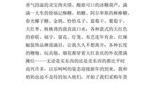 热闹的春节作文