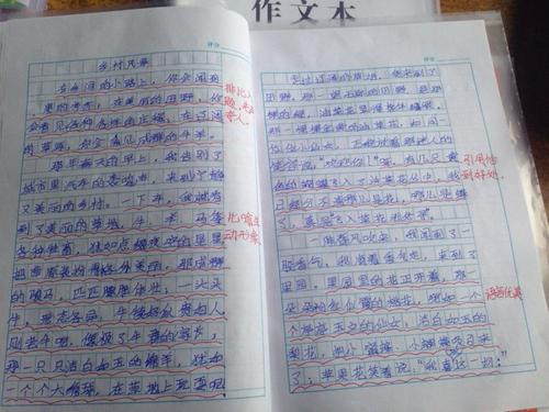 增长足迹构成