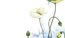2014年高考满分作文山东卷:风景自在人心