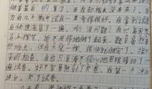 我得到了教训500字作文
